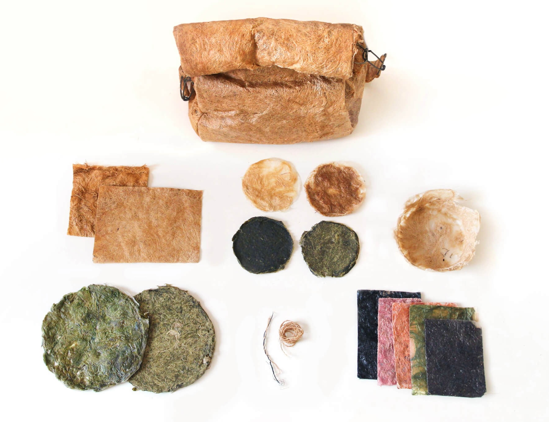 Biomaterial Samples