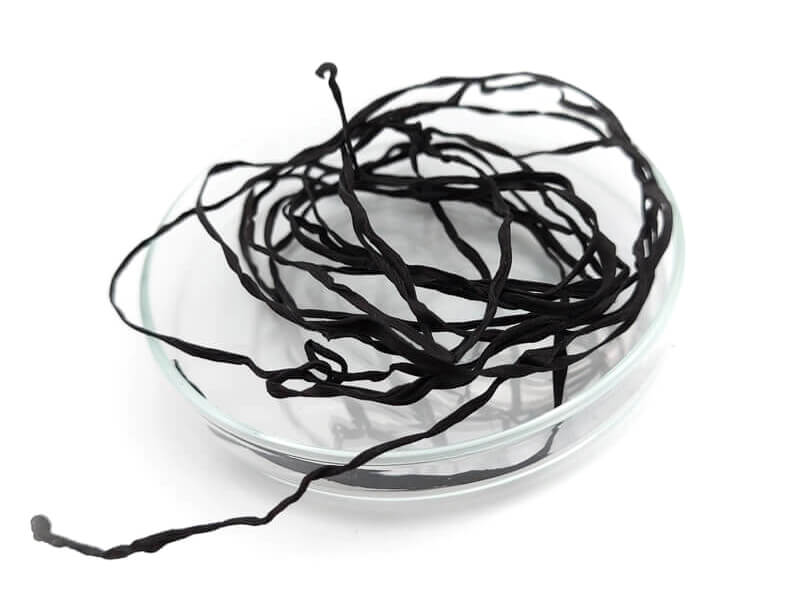 Conductive Biomaterials