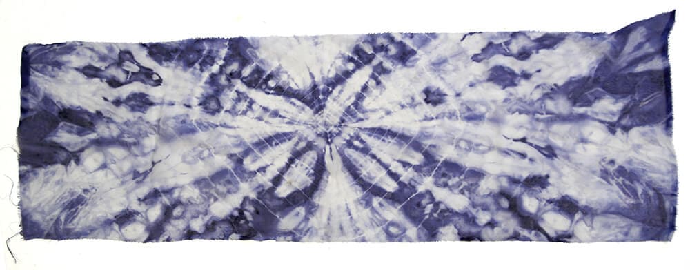 Bacteria Dyeing Result 2